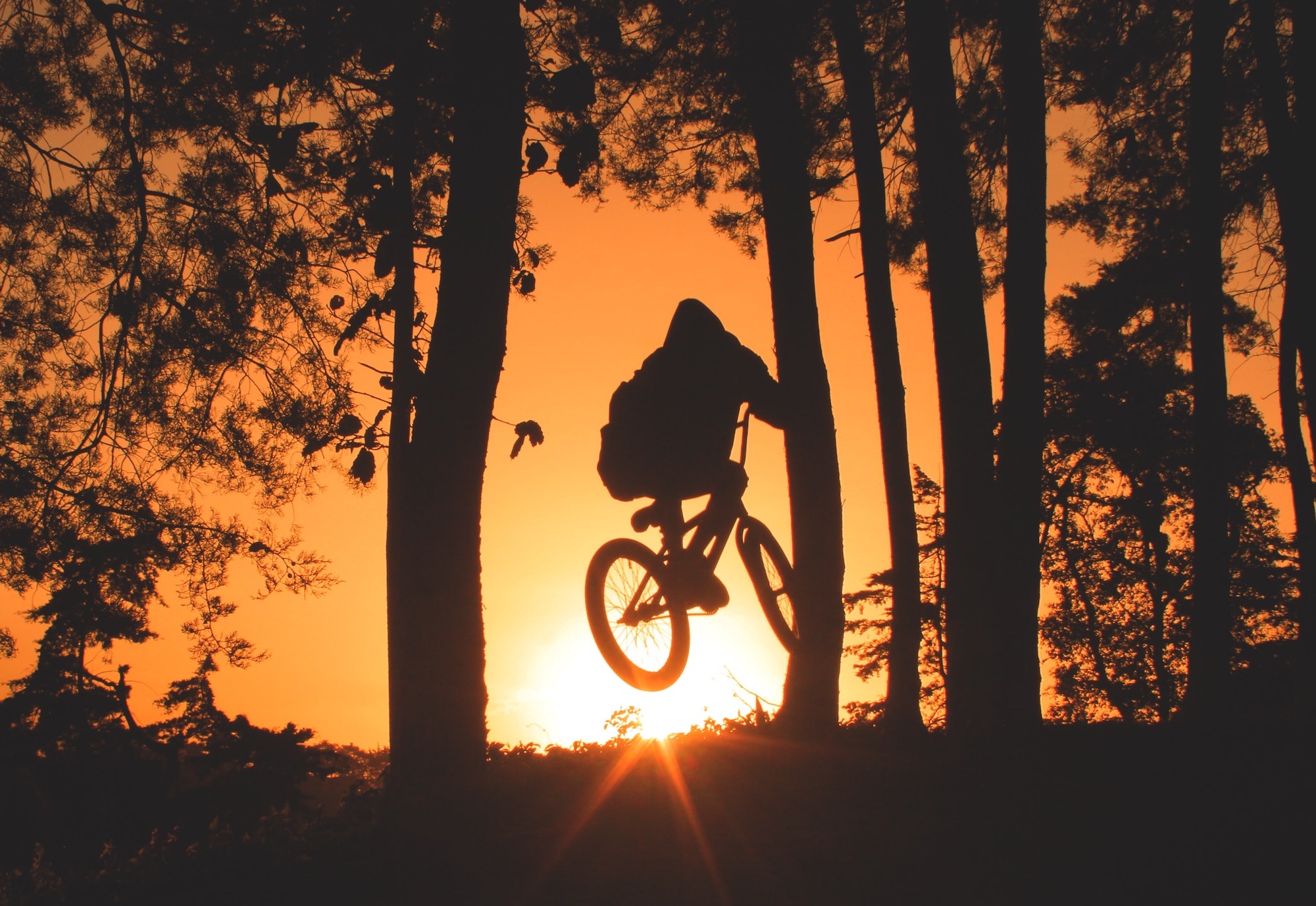 Cyclist on a tour